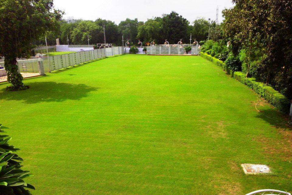 wedding-lawns-farmhouses-swagat-party-plot-event-space-30_15_169905-159584472952050